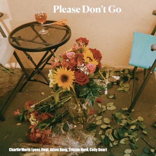 Please Don't Go