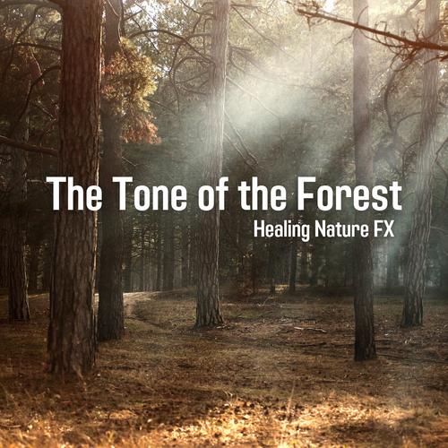 The Tone of the Forest