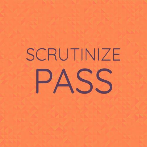 Scrutinize Pass