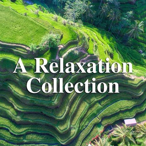 A Relaxation Collection