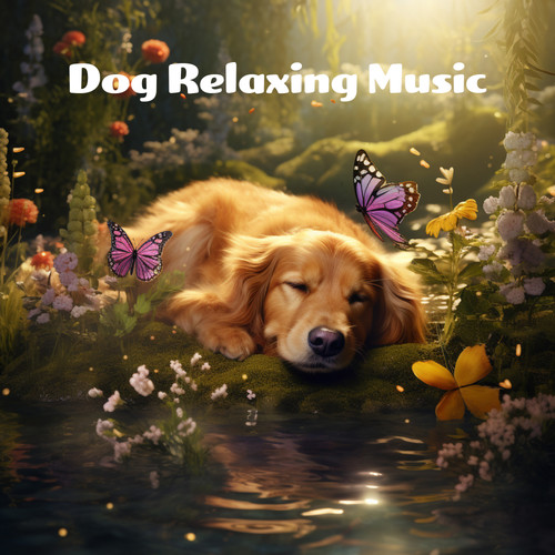 Dog Relaxing Music