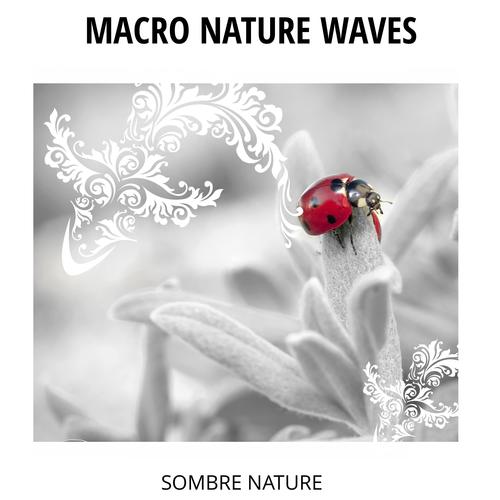 Macro Nature Waves - Sombre Nature