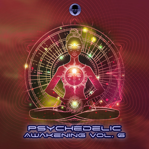 Psychedelic Awakening, Vol. 6