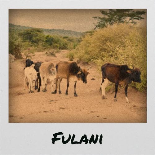 Fulani