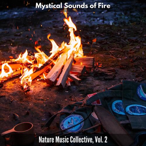 Mystical Sounds of Fire - Nature Music Collective, Vol. 2