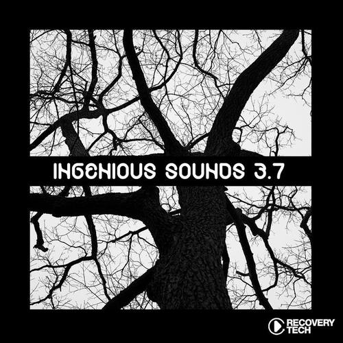 Ingenious Sounds, Vol. 3.7