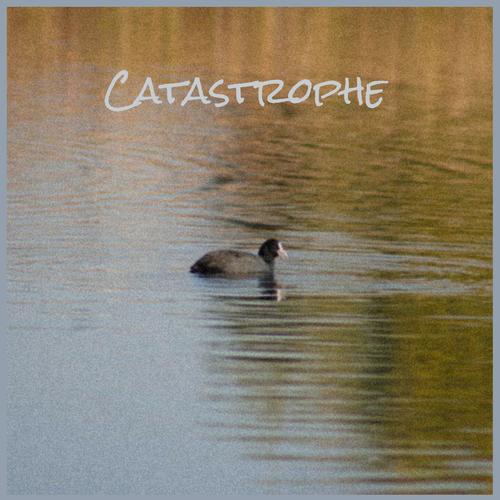 Catastrophe