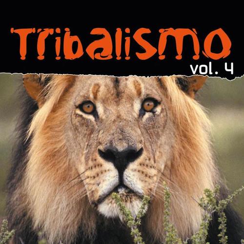 TRIBALISMO VOL. 4