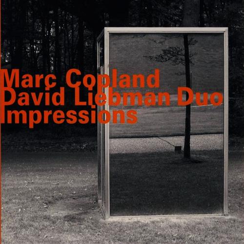 Marc Copland - David Liebman Duo: Impressions