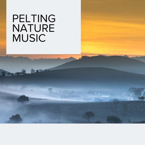 Pelting Nature Music