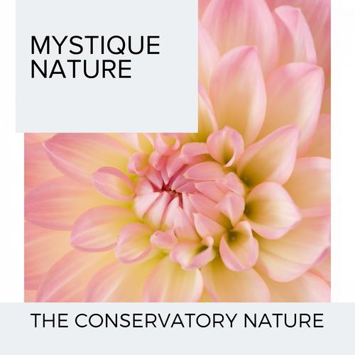 Mystique Nature - The Conservatory Nature