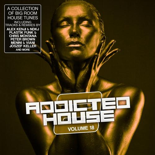 Addicted 2 House, Vol. 18