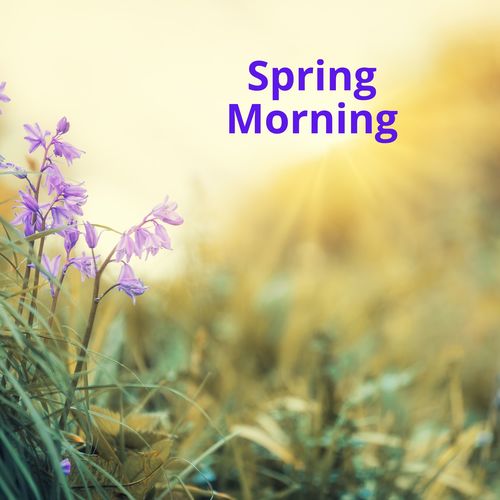 Spring Morning