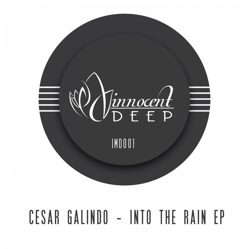 Into The Rain EP