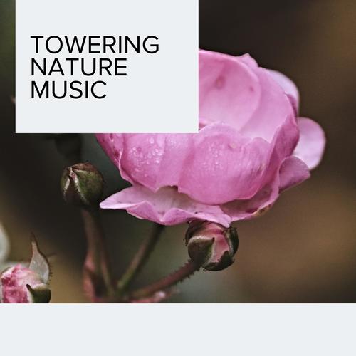 Towering Nature Music