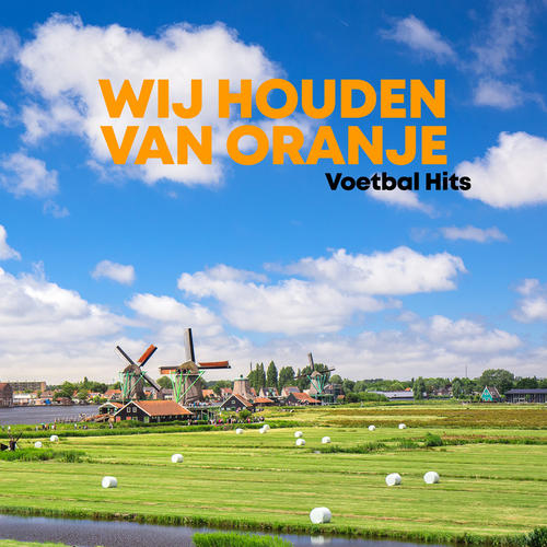 Wij Houden Van Oranje | Voetbal Hits