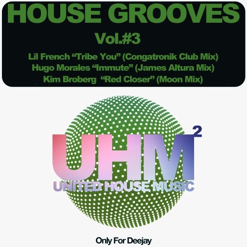 House Grooves, Vol. 3