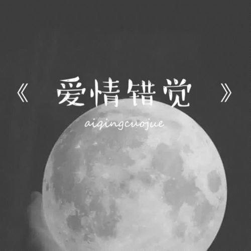 爱情错觉(DJ超嗨版)