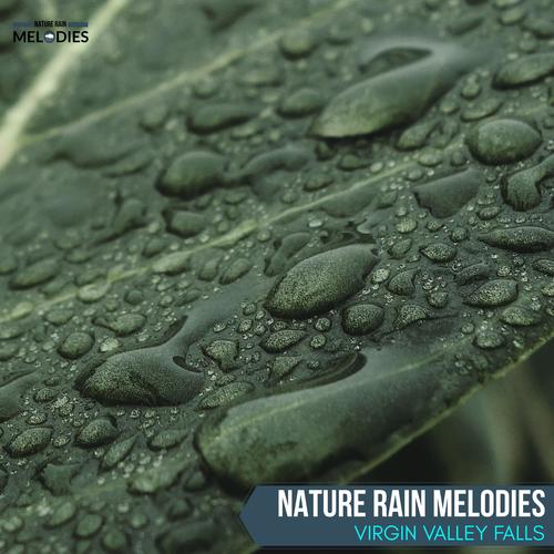 Nature Rain Melodies - Virgin Valley Falls