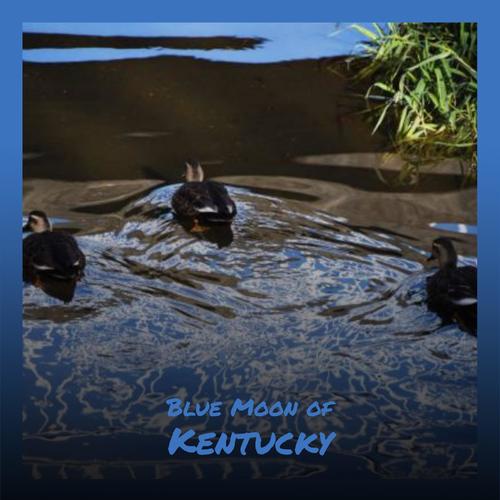 Blue Moon of Kentucky