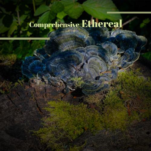 Comprehensive Ethereal