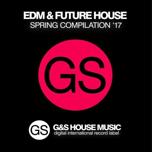 EDM & Future House (Spring '17)