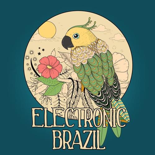 Electronic Brazil, Vol. 1