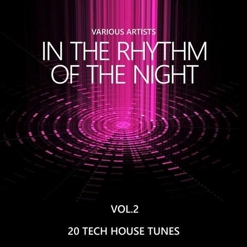 In the Rhythm of the Night (20 Tech House Tunes) , Vol. 2