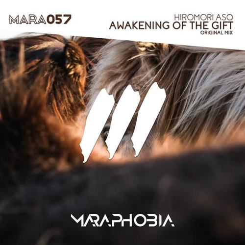 Awakening Of The Gift