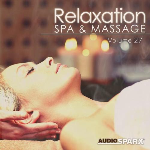 Relaxation Spa & Massage Volume 27