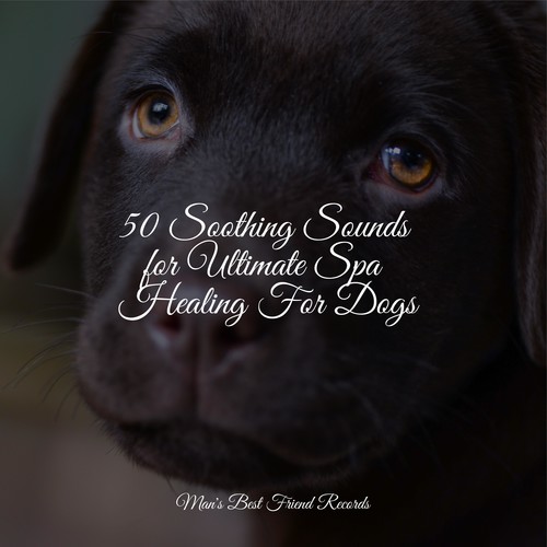 50 Soothing Sounds for Ultimate Spa Healing For Dogs