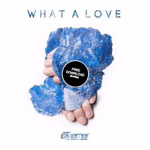 What A Love (Steerner Bootleg)