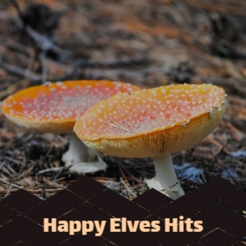 Happy Elves Hits