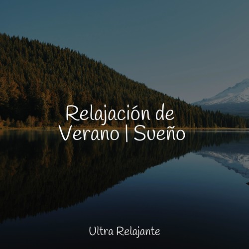 Relajación de Verano | Sueño