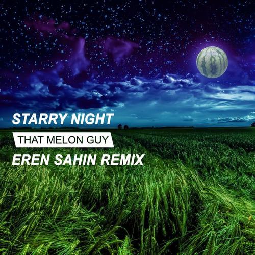 Starry Night (Eren Sahin Remix)