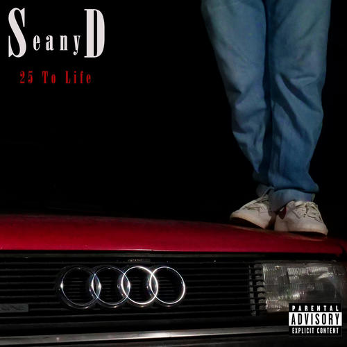 25 to Life (Explicit)