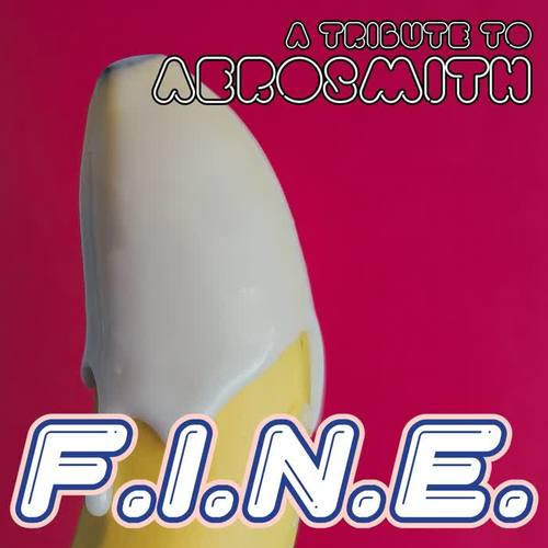 F.I.N.E. - A Tribute To Aerosmith