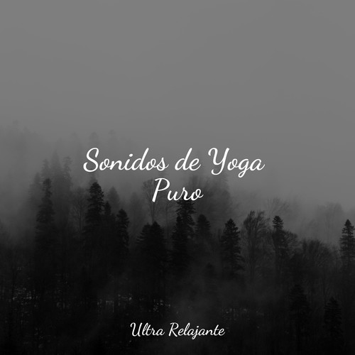 Sonidos de Yoga Puro