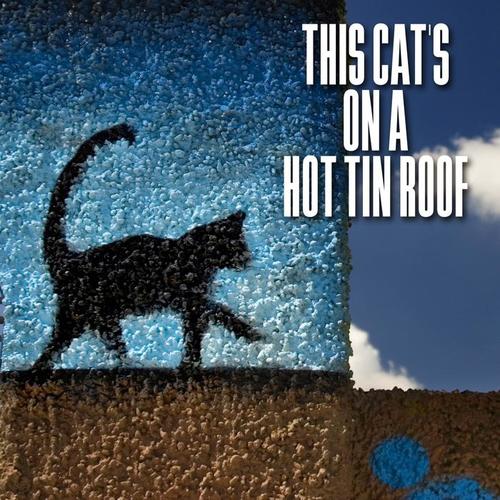 This Cat's On A Hot Tin Roof