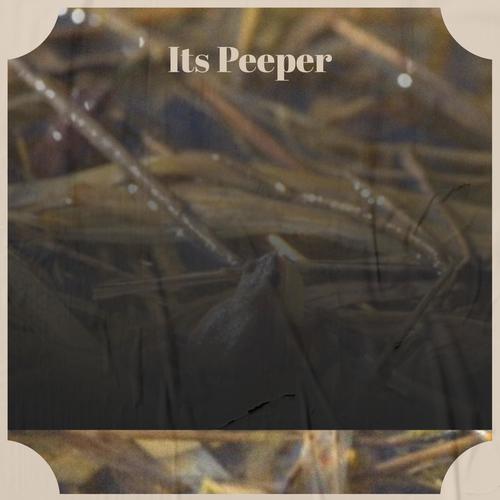 Its Peeper