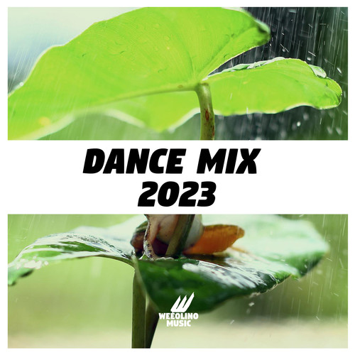 Dance Mix 2023 (Explicit)