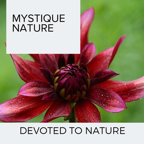 Mystique Nature - Devoted to Nature