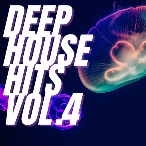 Deep House Hits Vol.4