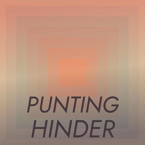 Punting Hinder