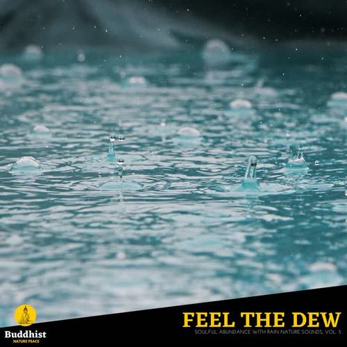 Feel the Dew - Soulful Abundance with Rain Nature Sounds, Vol. 5