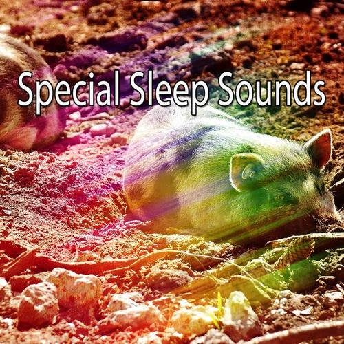 Special Sleep Sounds