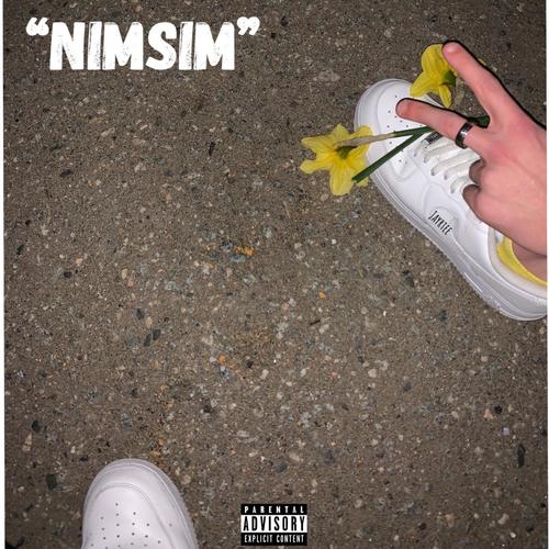 Nimsim (Explicit)