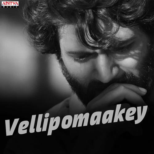 Vellipomaakey