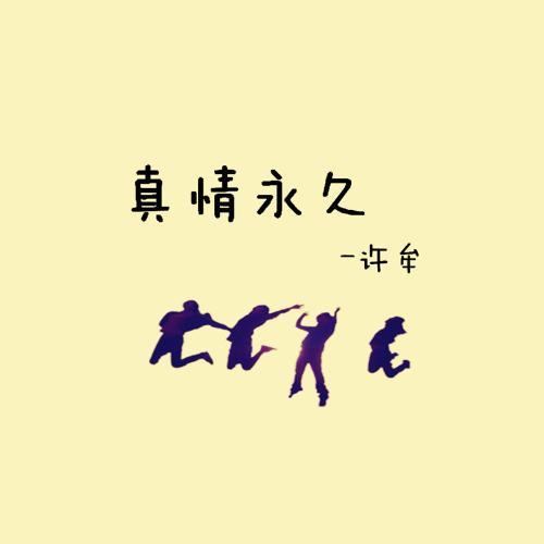 真情永久