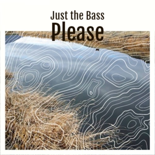 Just the Bass Please